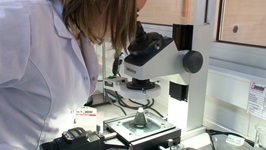 LAB 4